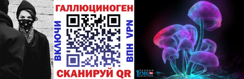 Купить закладки  Староминская  Псилоцибиновые грибы мицелий 